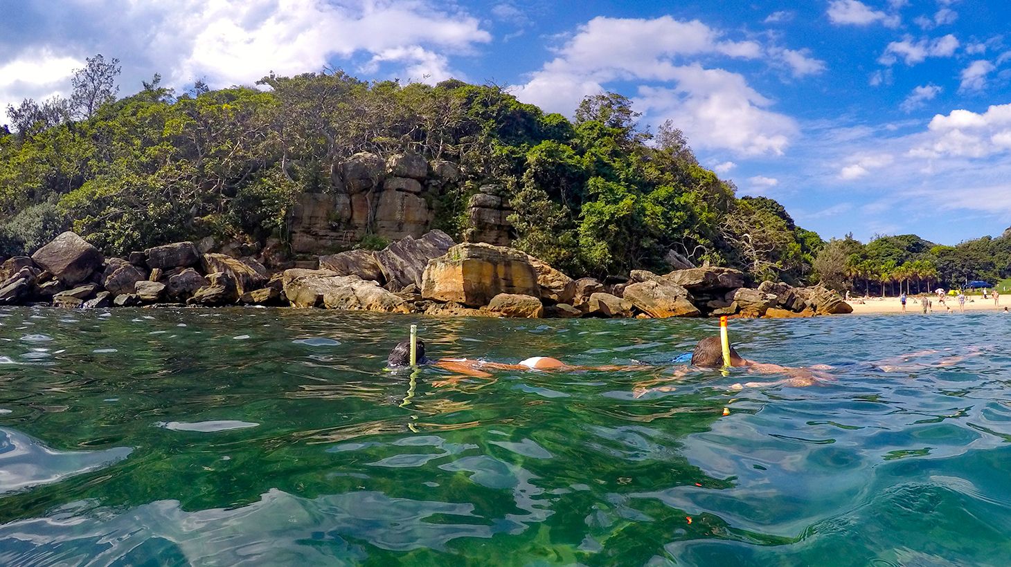 2.5-Hour Manly Snorkel & Headland Walk Eco Tour 2