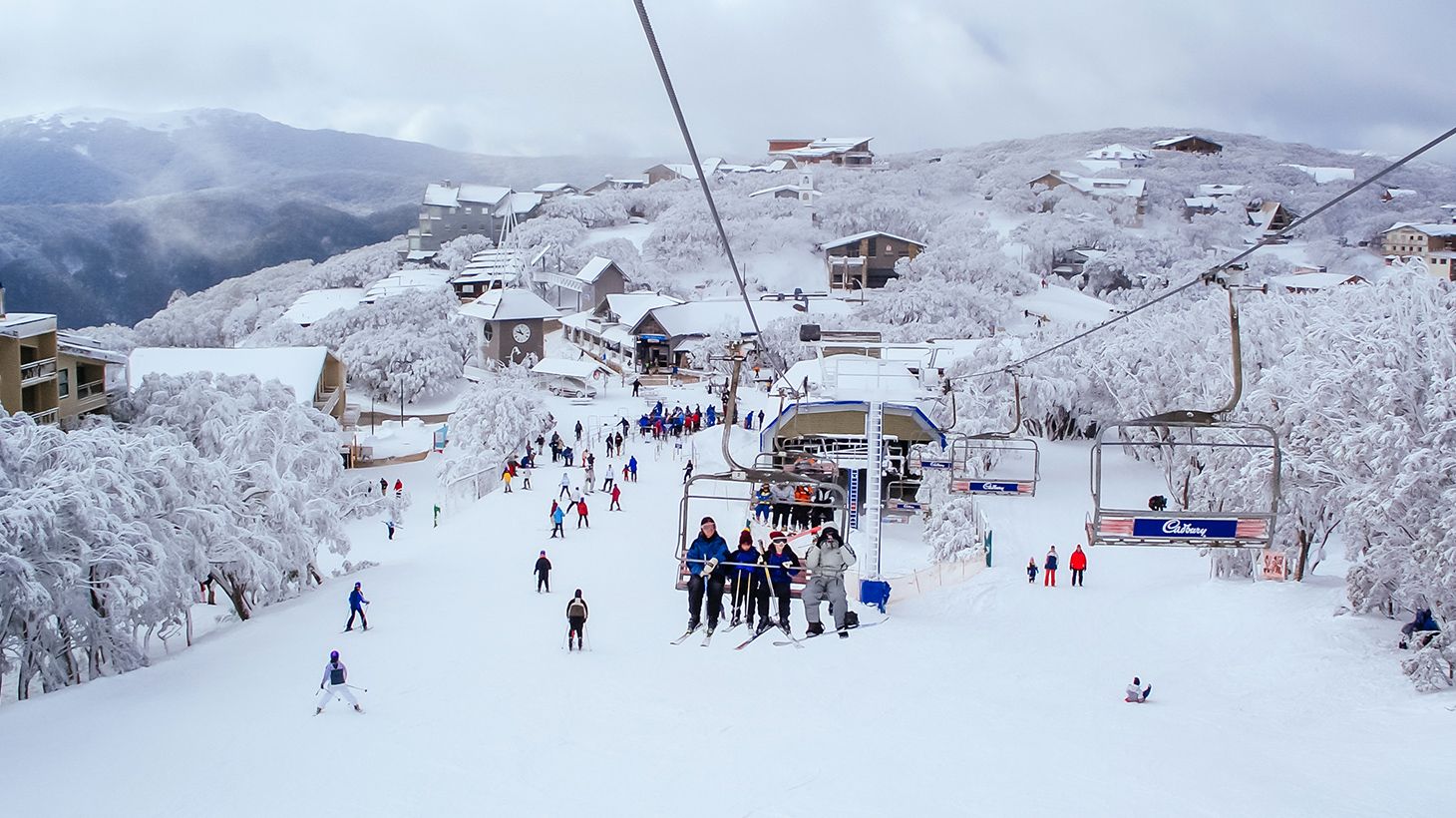 Full-Day Tour to Mount Buller Snow Slopes with Discounted Hire 5