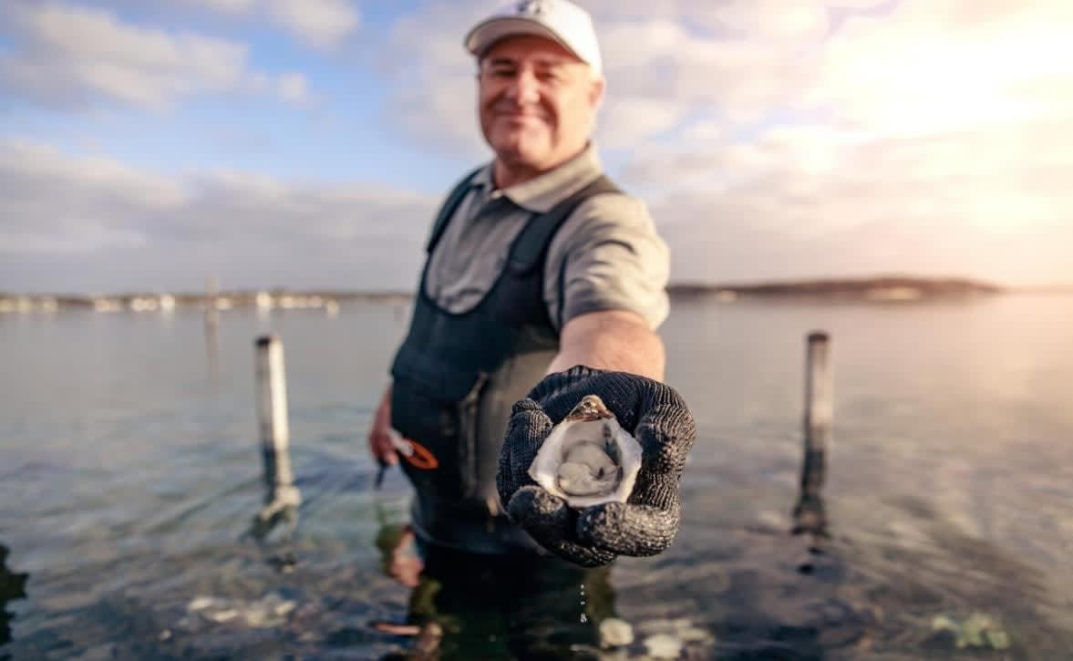 Coffin Bay Oyster Seafood Exploration Day Tour 4