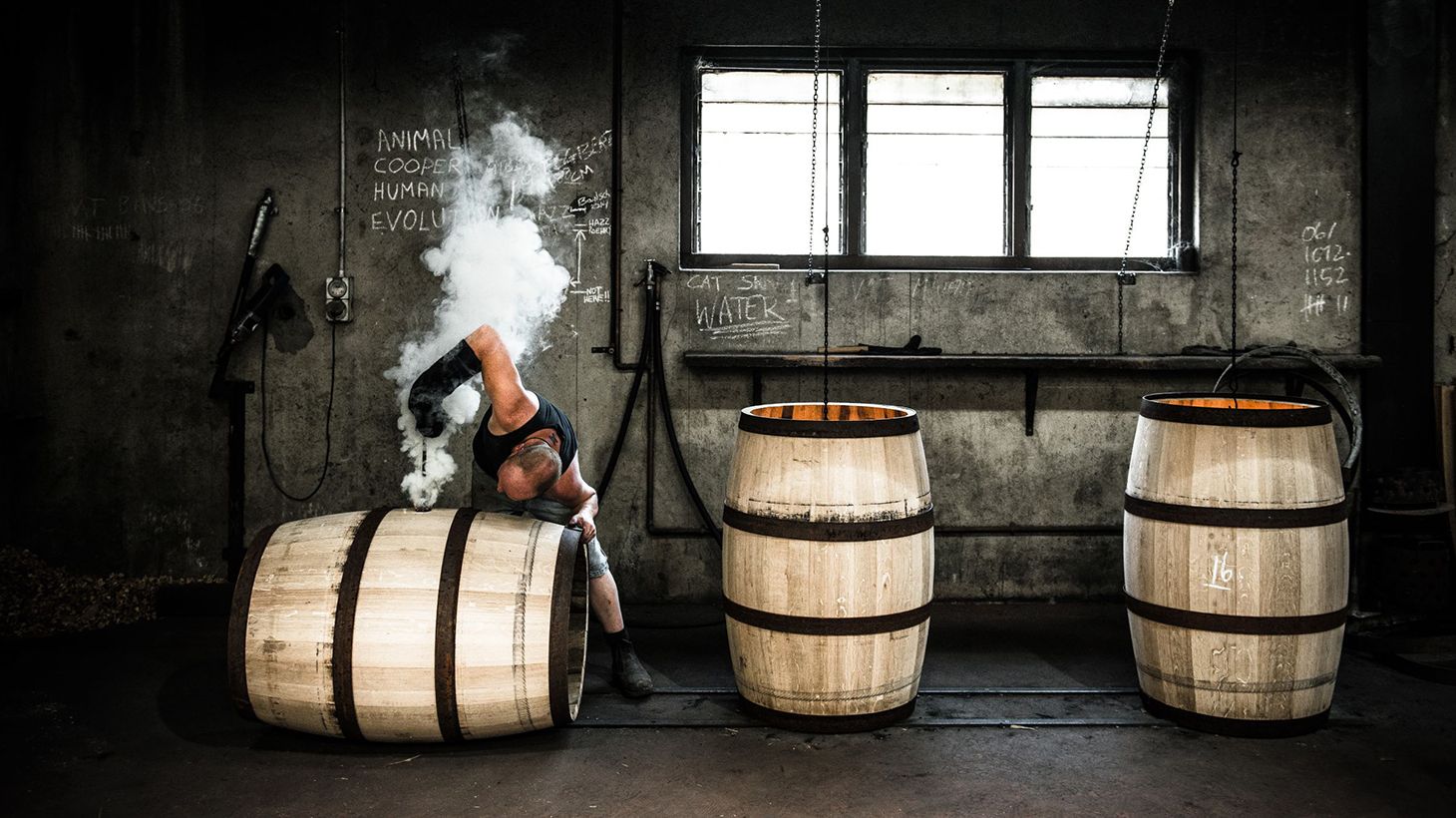 Yalumba Winery & Cooperage Tour with Tastings