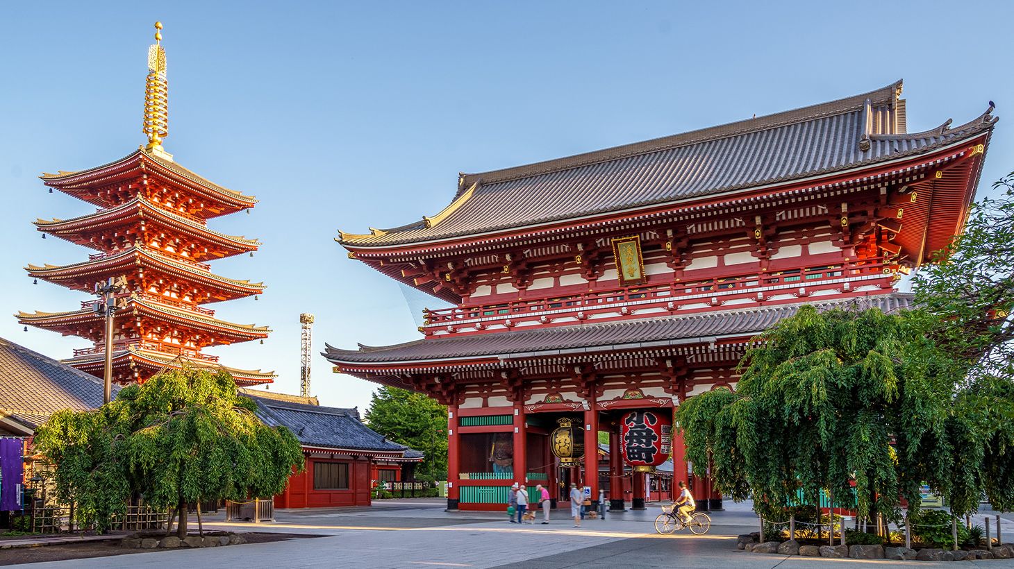 Explore Tokyo's Highlights on a Full-Day Best of Tokyo Tour with Local Guide 4