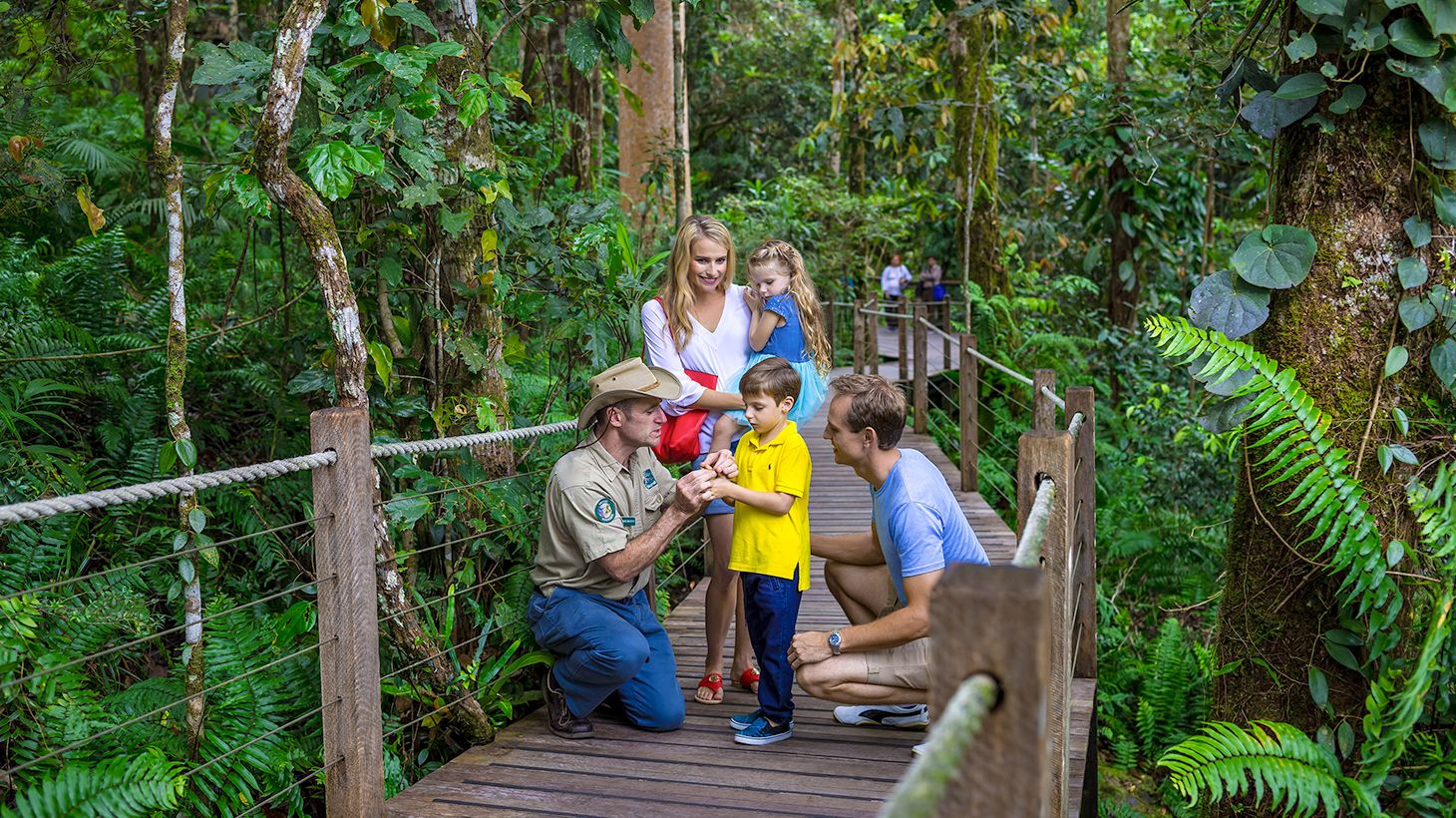 Journey through Heritage-Protected Rainforest with a One-Way Skyrail Ride & Scenic Rail Boarding Pass 4