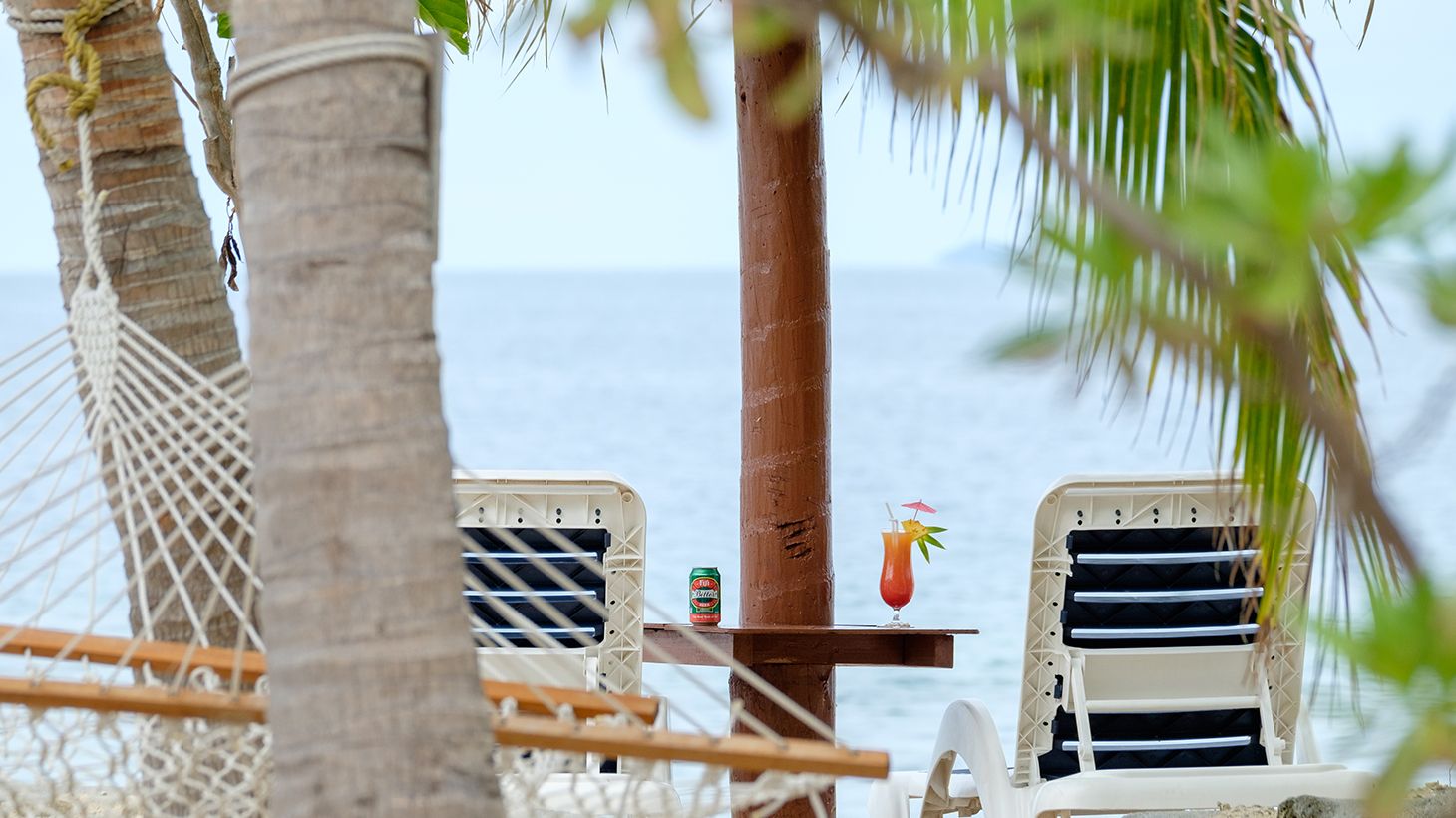 Half-Day Island Adventure with BBQ Lunch, Drinks & Return Transfers 4