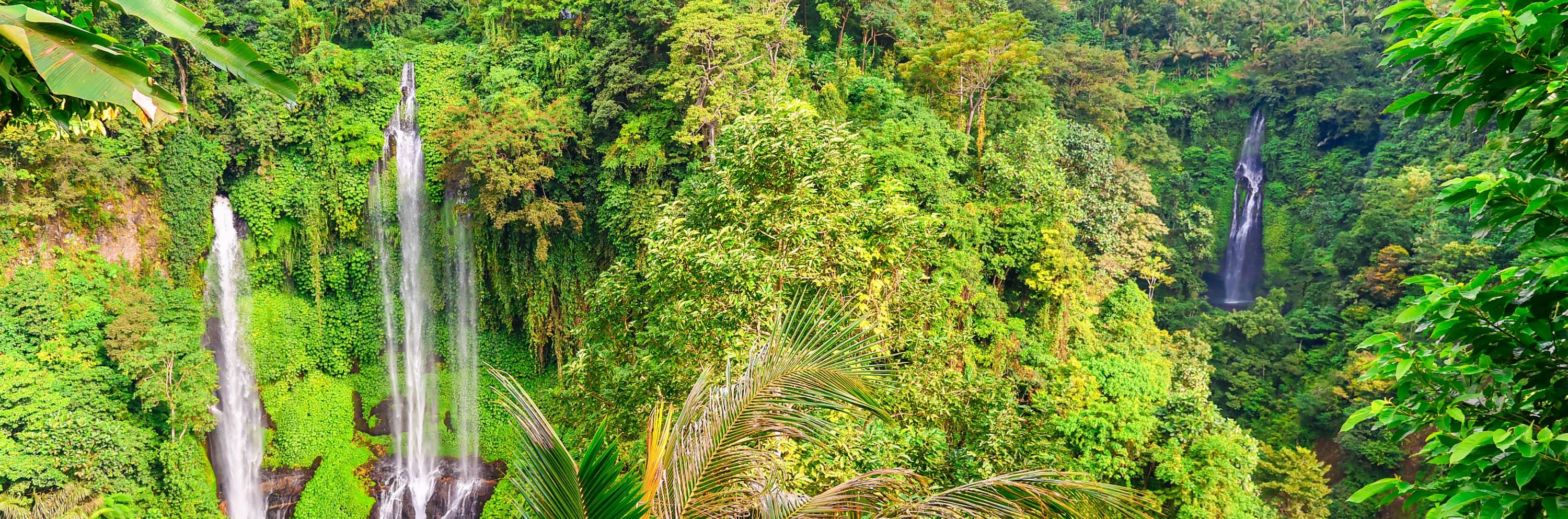 Bali Sekumpul Waterfalls & Pura Ulun Danu Bratan Private Day Tour