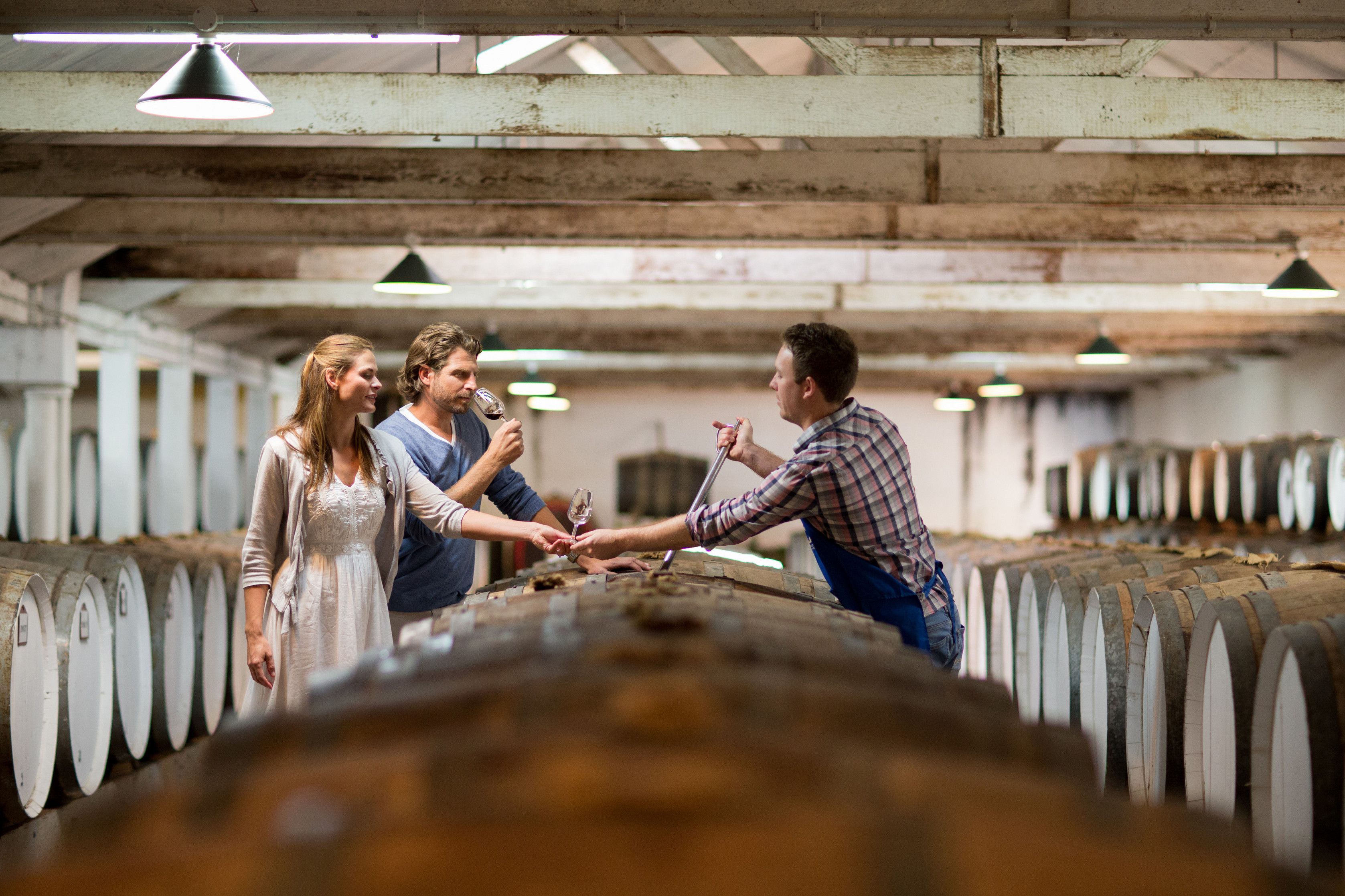 Private Tasting of Premium Wines & Birth Year Tasting Experience on a Seppeltsfield Centenary Tour 4