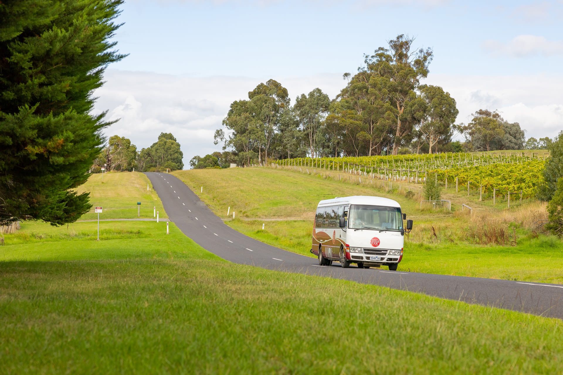 Geführte Tagestour mit Weinerlebnis im Yarra Valley 5