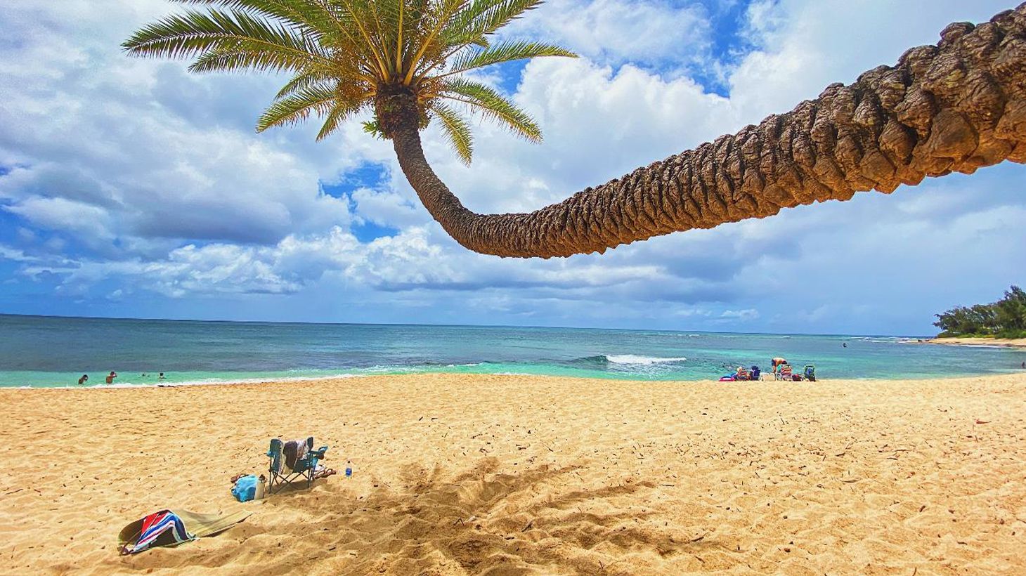 Full-Day Outdoor Tour with Guided Diamond Head Hike, North Shore Visit & Roundtrip Hotel Transfers 7