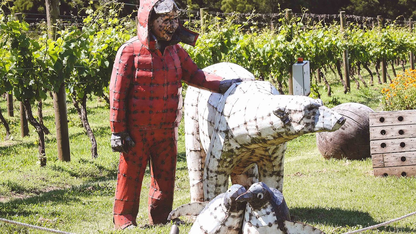 Estate to Plate Gourmet Indulgence with Wine Tasting & Multi-Course Lunch with Paired Wines 5