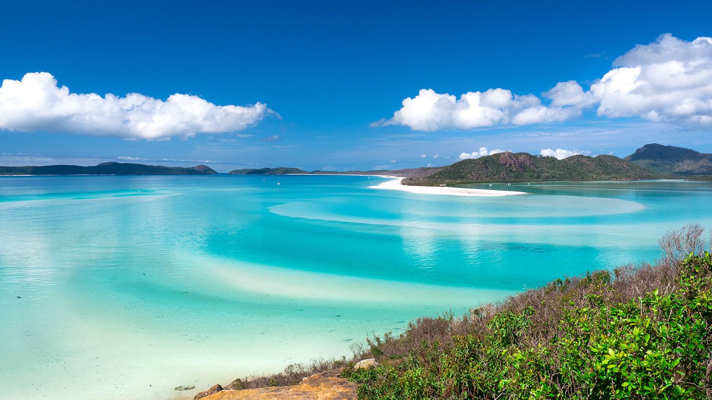 Full-Day Whitehaven Beach Tour with Guided Hike, BBQ Lunch & Afternoon Tea