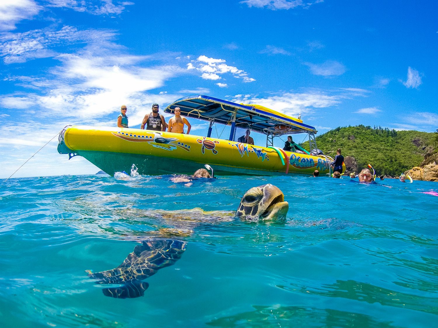 Ocean Rafting Whitehaven Beach Snorkelling Day Tour