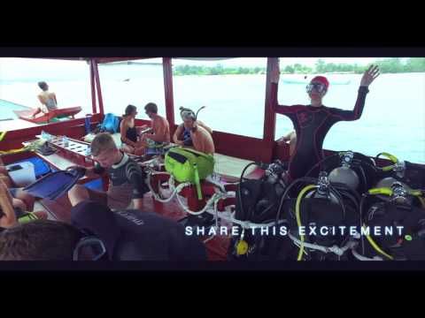 Gili Islands Full Day Diving with PADI 5* Dive Center 2