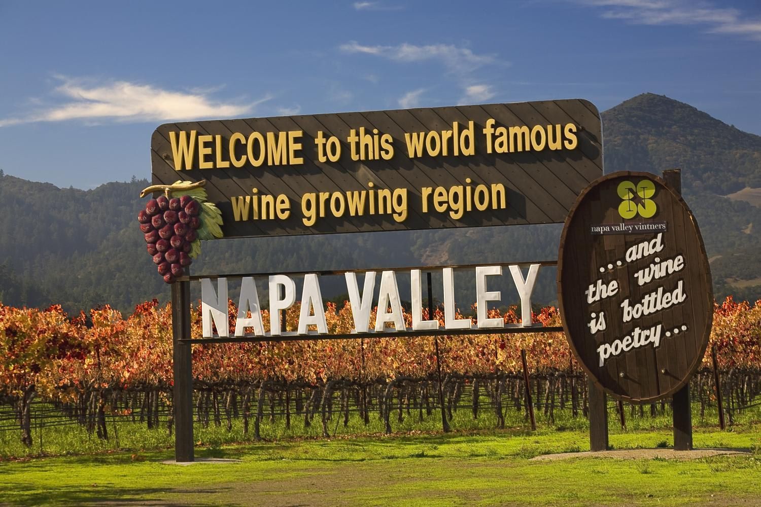 Napa Valley and Sonoma Full Day Wine Tour 1