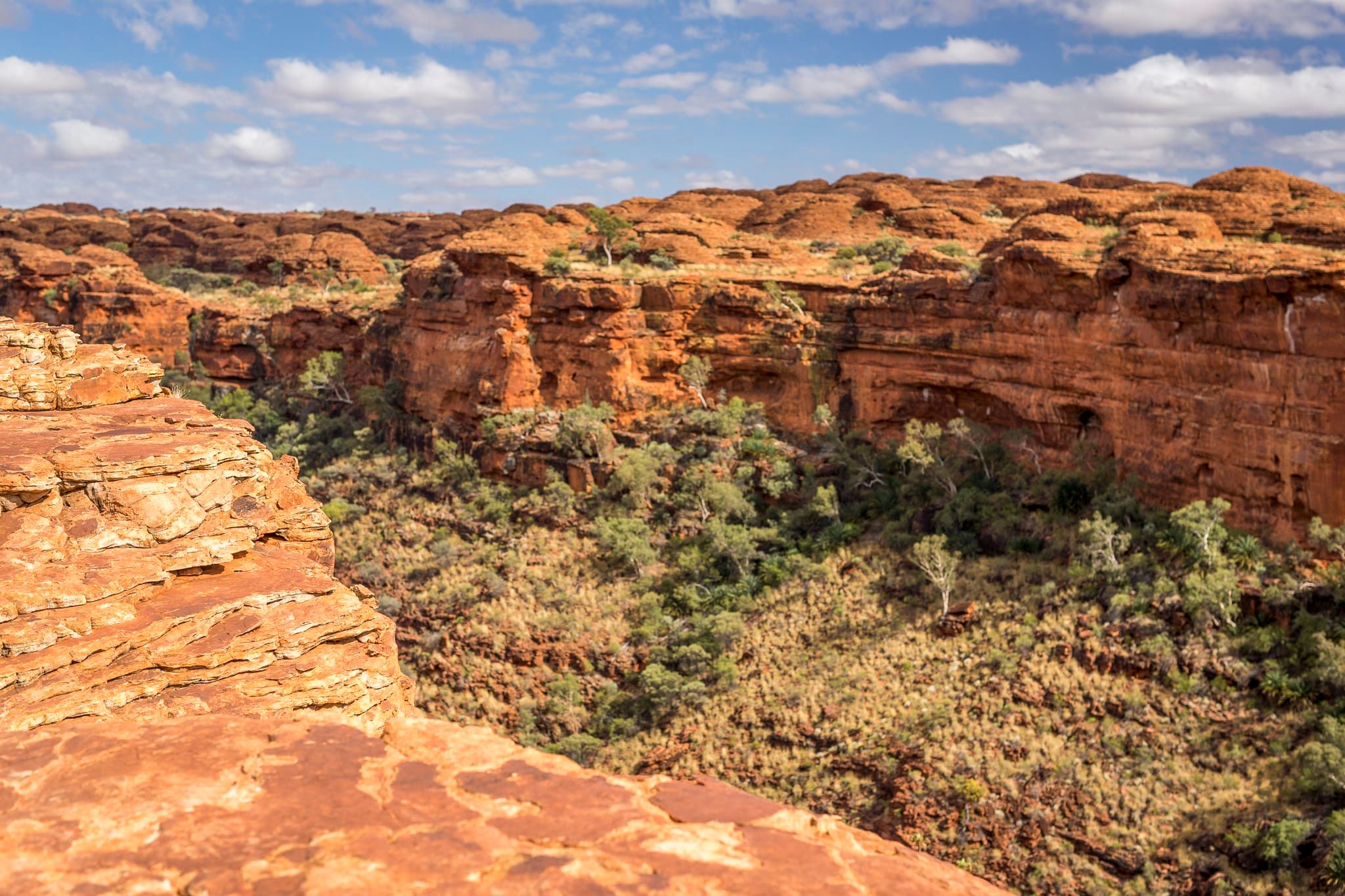 3D2N Kings Canyon Experience