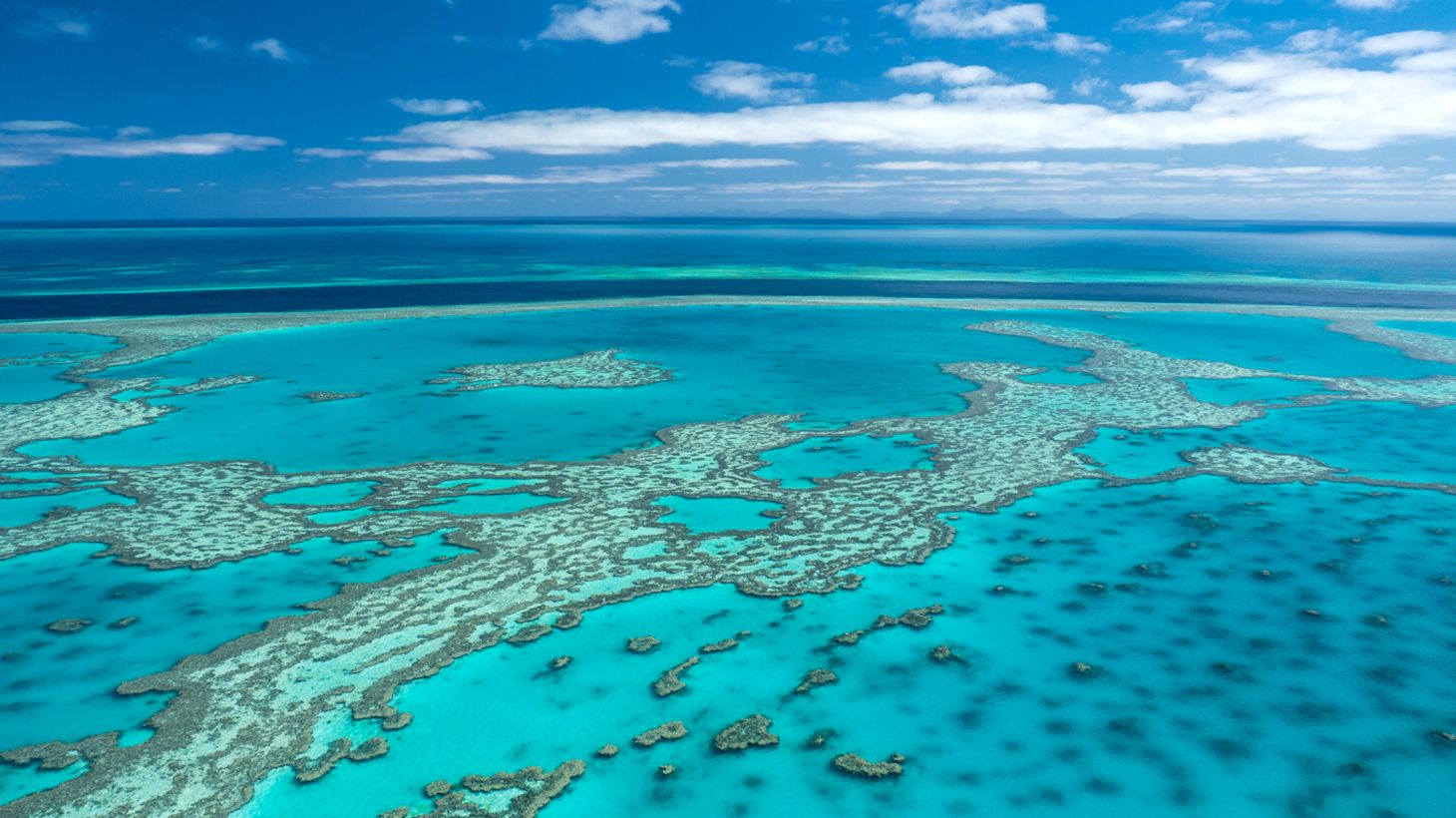 Full-Day Great Barrier Reef Experience with Buffet Lunch, Daydream Island Transfers & Semi-Submarine Guided Tour