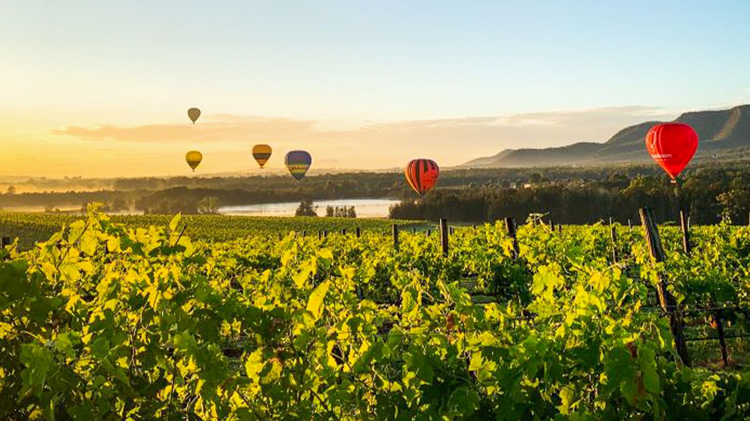 Breathtaking Sunrise Hot Air Balloon Flight with Gourmet Breakfast & Sparkling Wine Tasting 2