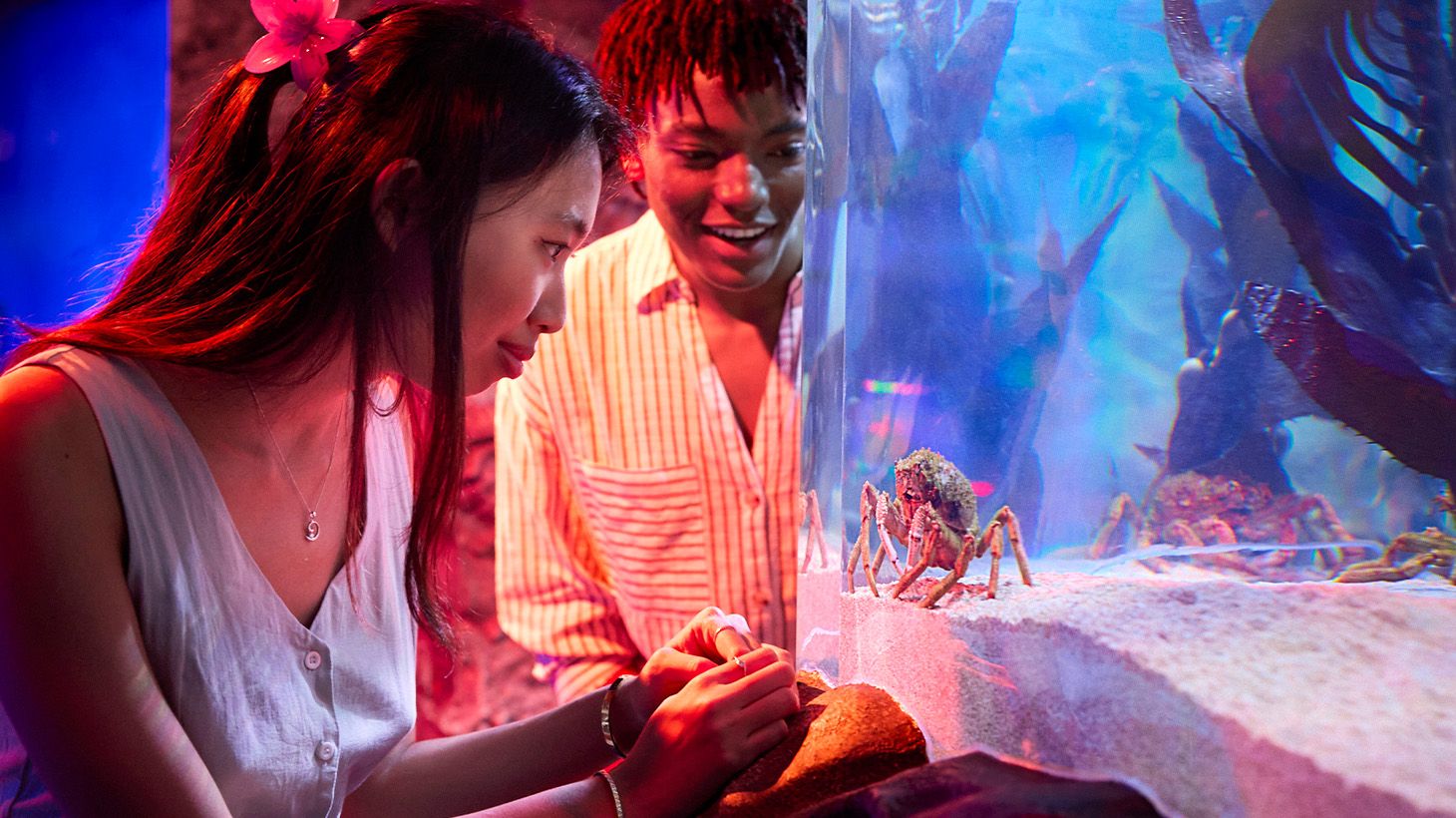 SEA LIFE Melbourne Aquarium Entry Ticket with Digital Photo Pass 6