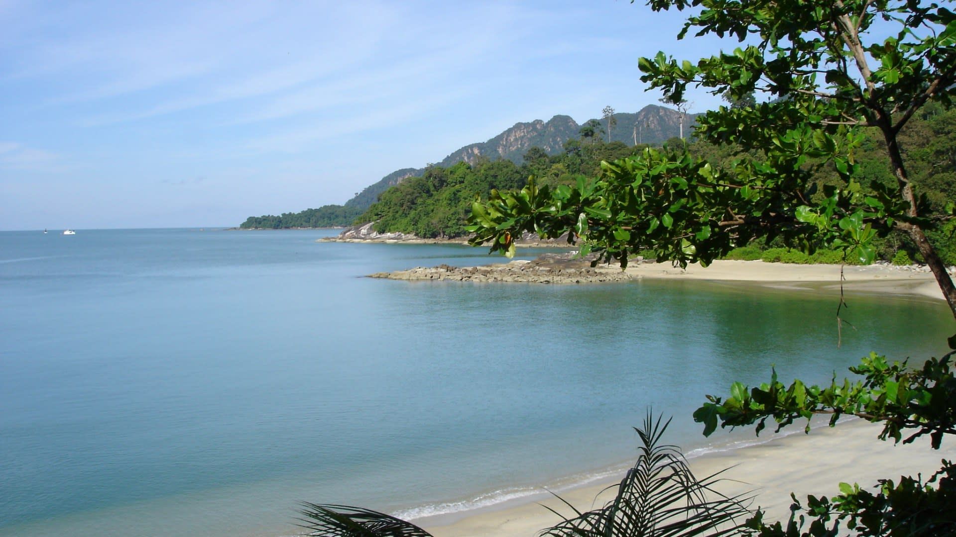 Langkawi Mangrove Tour 4