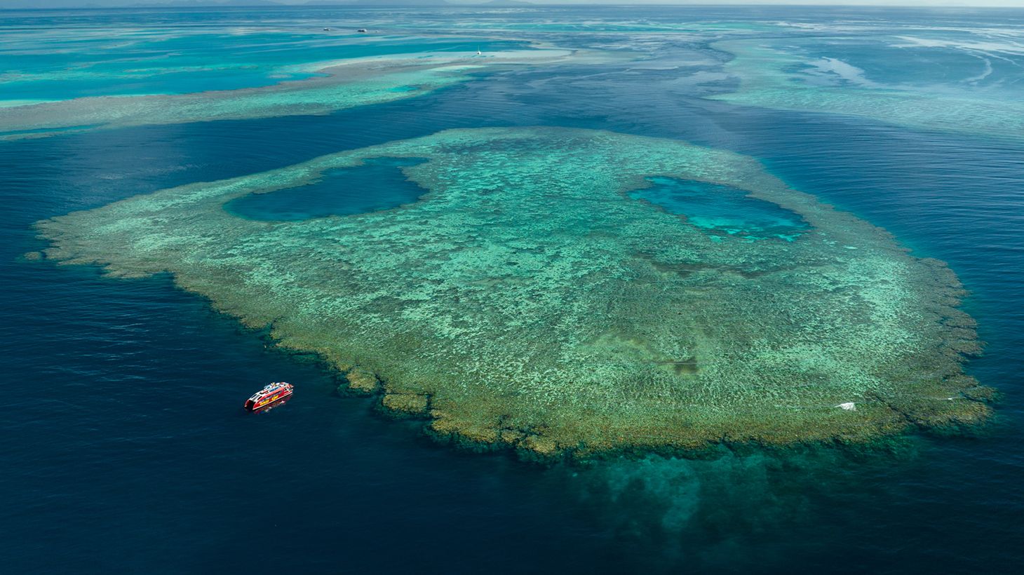Full-Day Outer Great Barrier Reef Catamaran Cruise with Buffet Lunch & Snorkelling