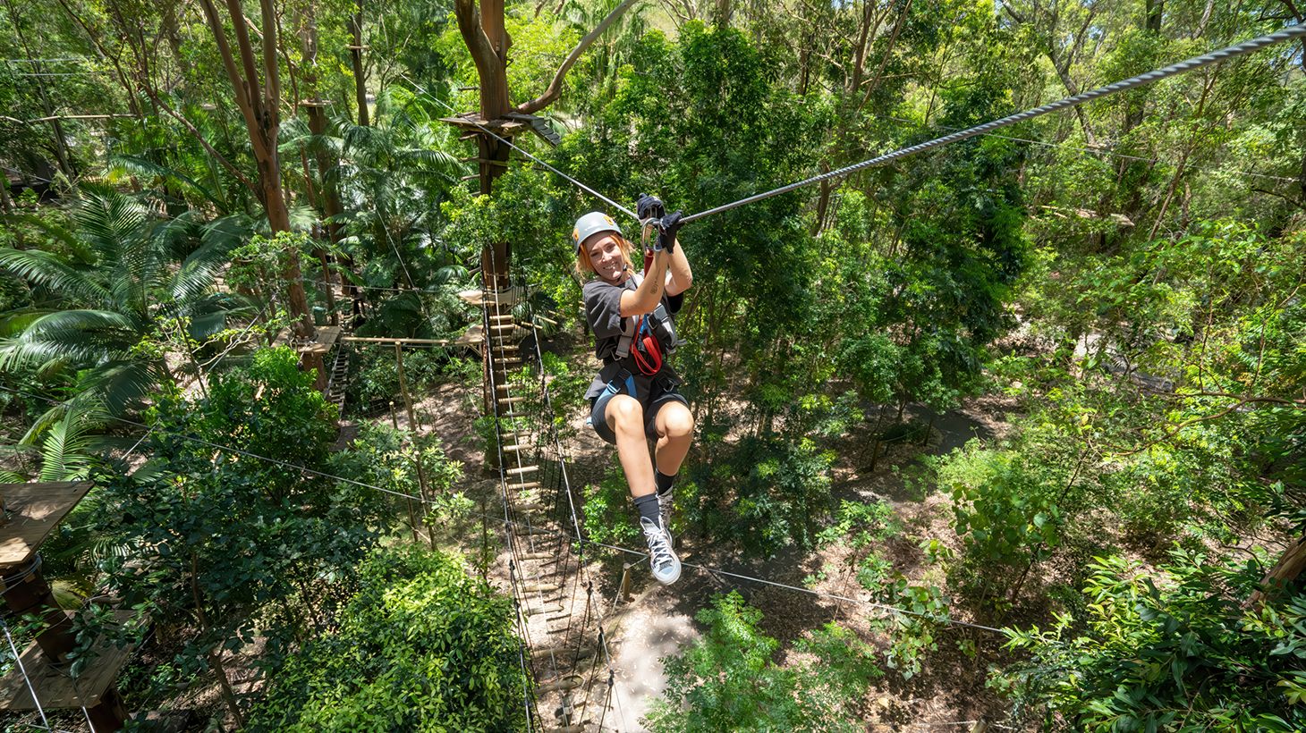 Take on Zipline & High Ropes Courses at The TreeTop Challenge at Currumbin Adventure Park