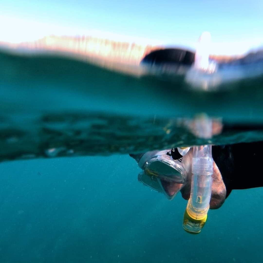 Gran Canaria's Coastal Discovery: Snorkeling Trip with PADI 5*Center