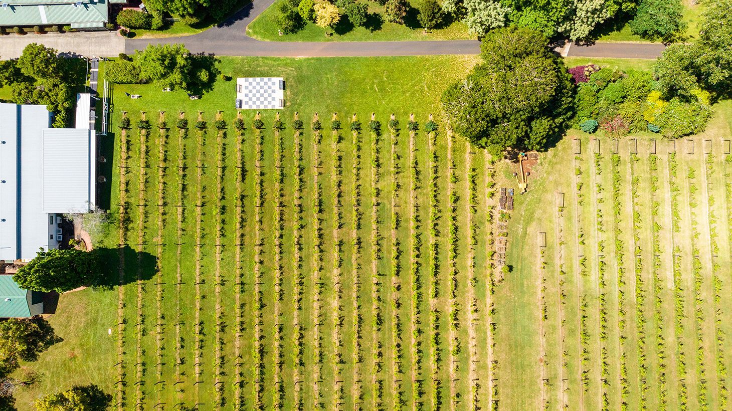 Full-Day Mount Tamborine Winery Tour to Four Venues with Two-Course Lunch & Return Transfers 6