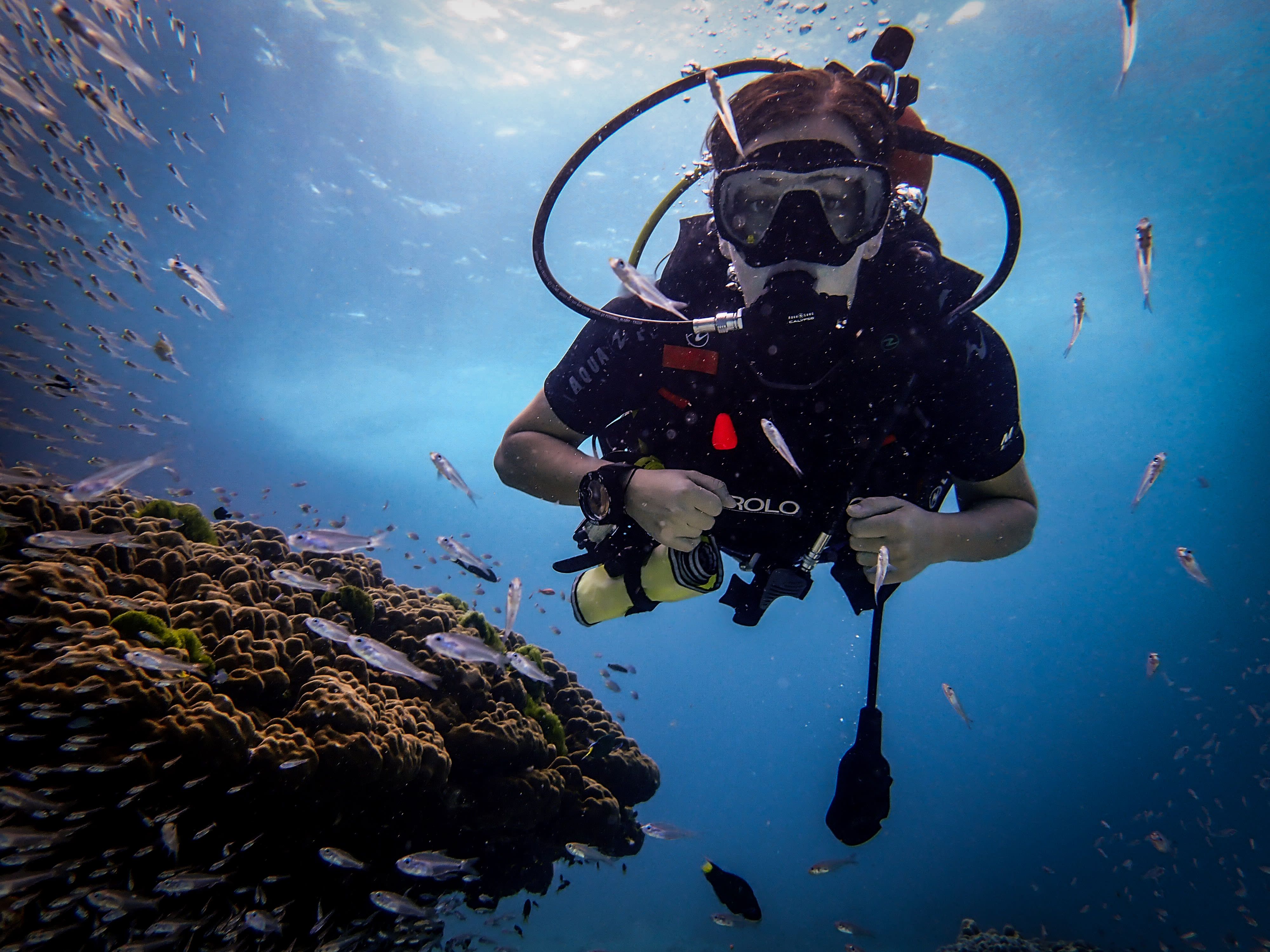 Phuket First-Time Scuba with PADI 5 Star Dive Center