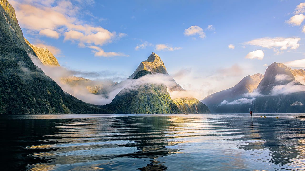 Milford Sound Full-Day Small Group Tour with Lunch