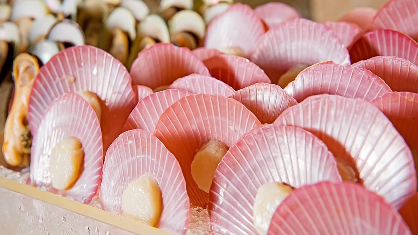 Indulge in an International Buffet Lunch or Dinner at Mulia Resort 8