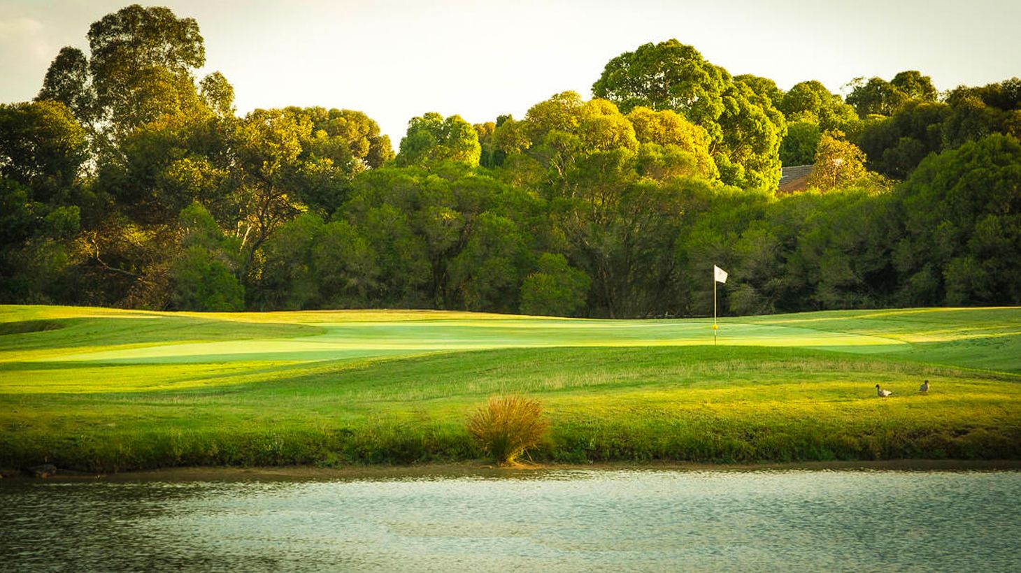 Take a Swing at an 18-Hole Golf Package at Goonawarra Public Golf Course 5