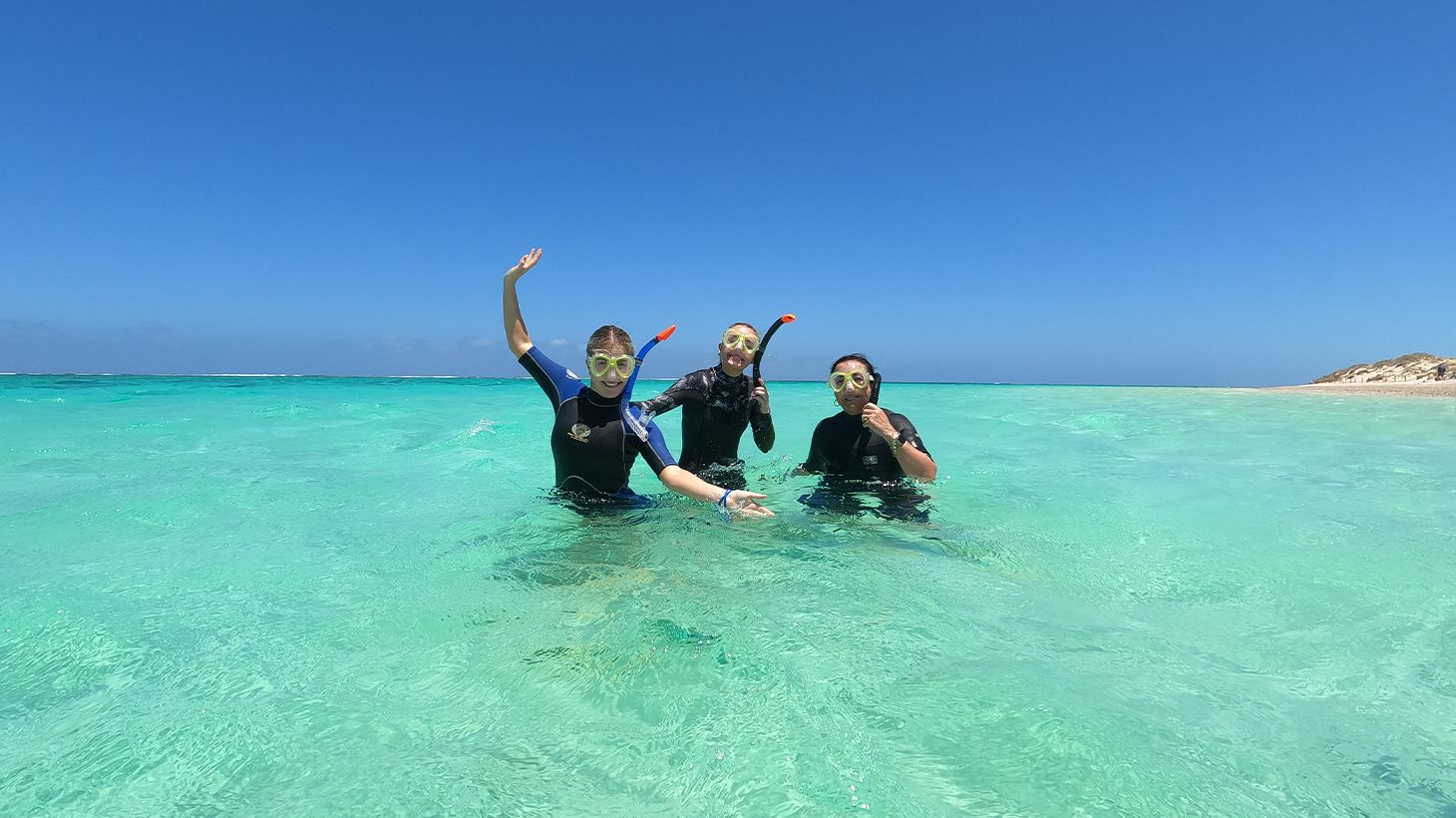 Full-Day Ningaloo Reef Snorkel Adventure with Morning Tea, Picnic Lunch & Snorkelling Gear 5