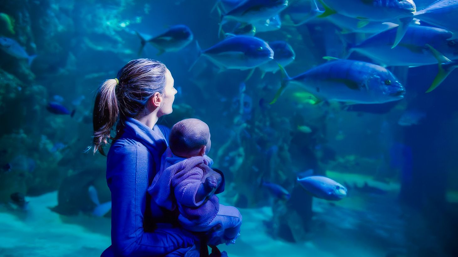 SEA LIFE Melbourne Aquarium Entry Ticket with Digital Photo Pass 1