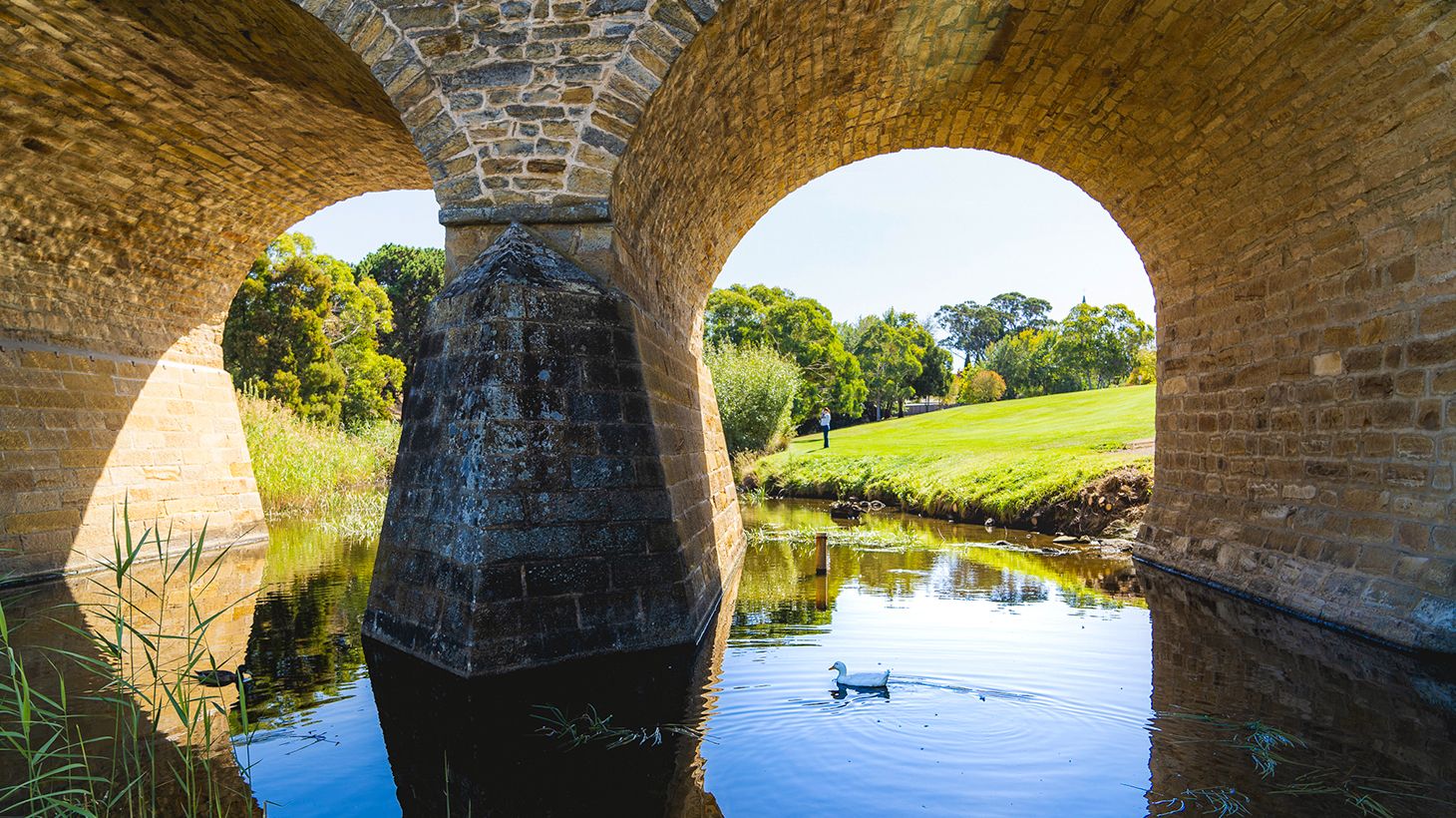 Coal Valley Wine, Gin & Cheese Tour with Winery Lunch & Richmond Village Visit 6