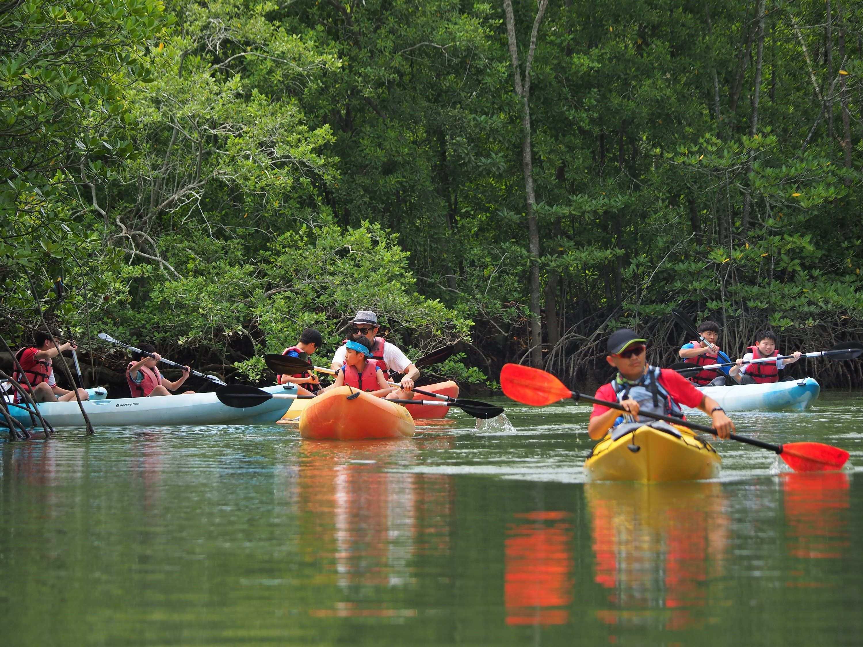 Nature Kayaking Water Adventure