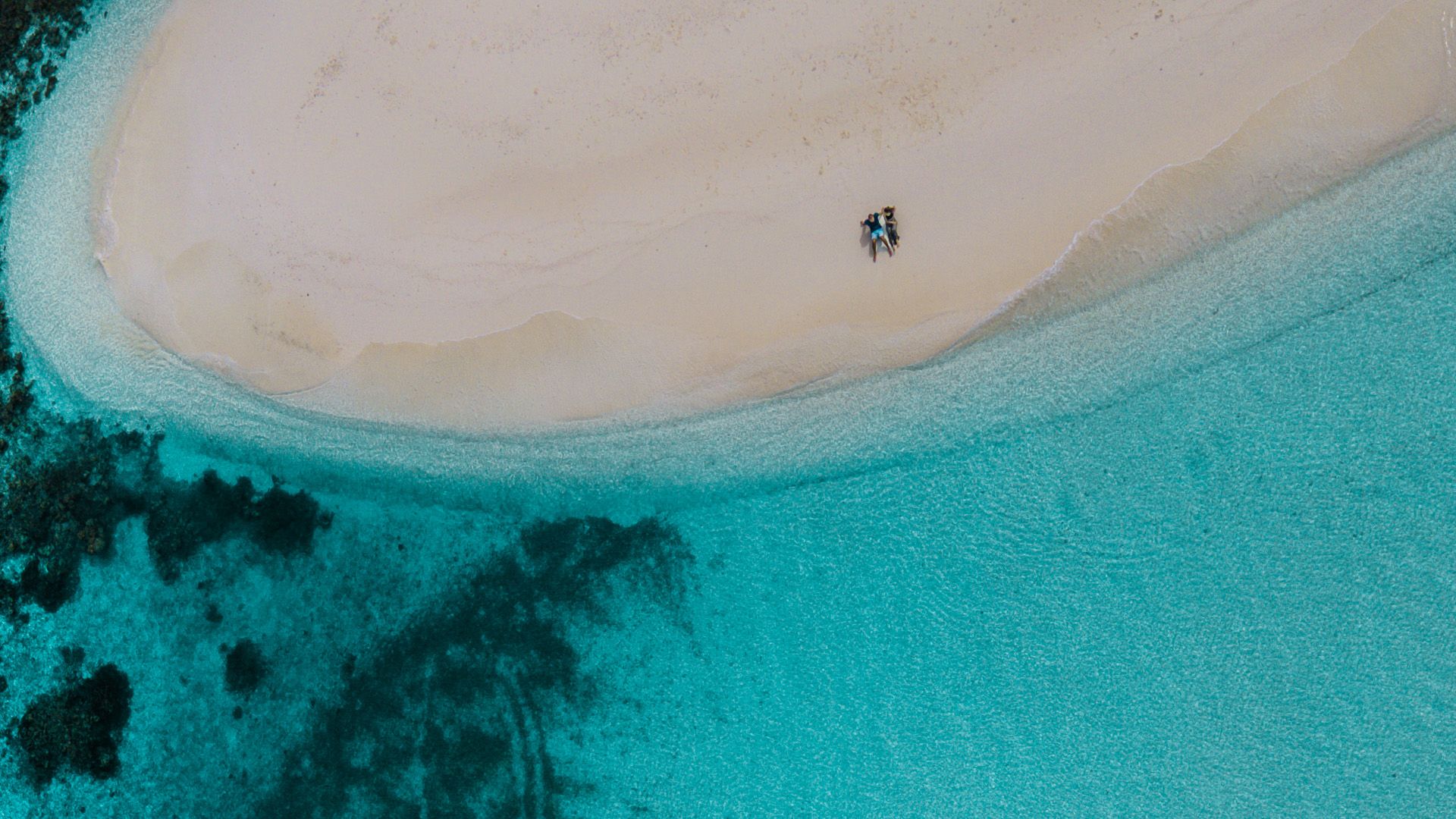 Ifuru Island Maldives Diving Experiences for Every Level – Scuba Diving & Open Water Dives 6