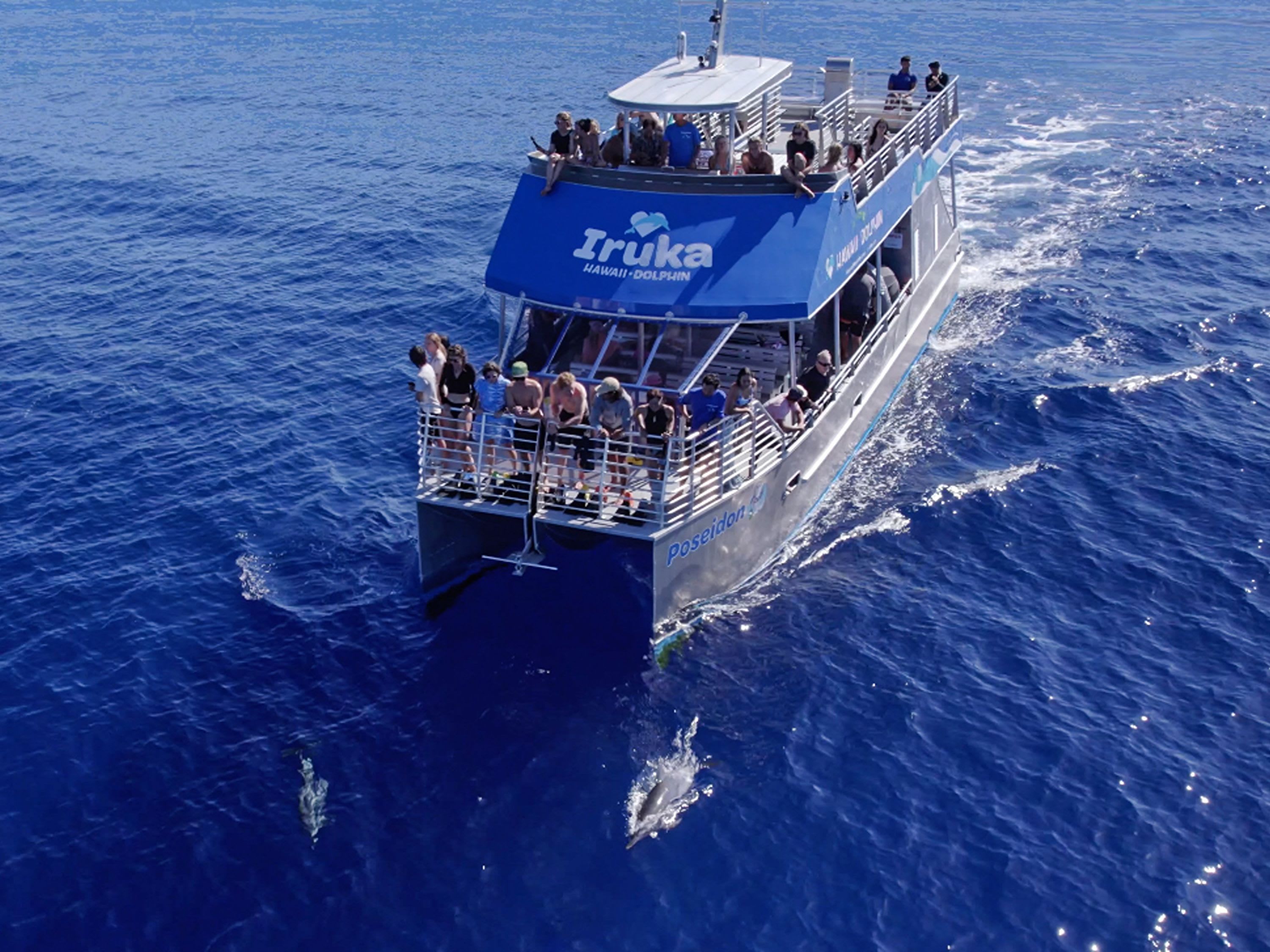 Dolphin Watching and Snorkel with Water Activities in Oahu