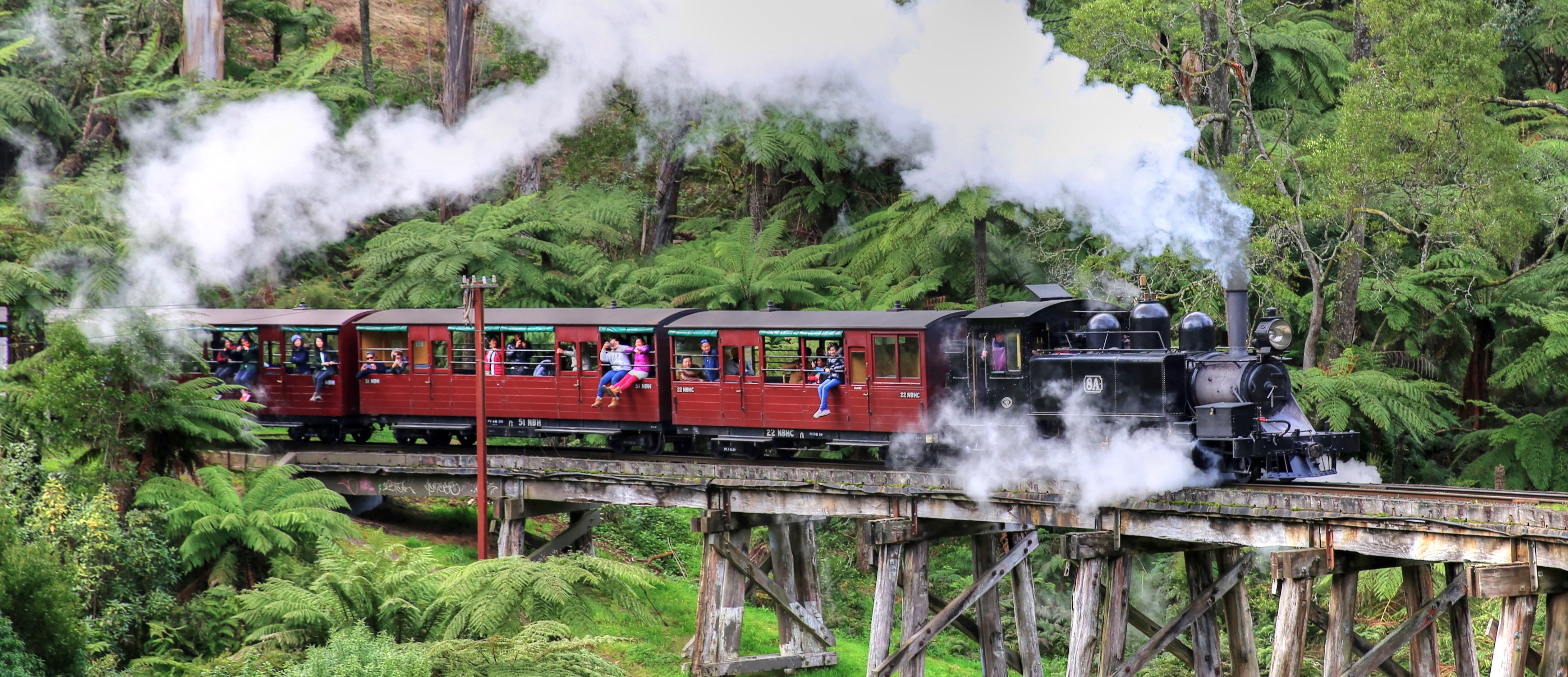 Full-Day Puffing Billy & Healesville Sanctuary Scenic Tour 2
