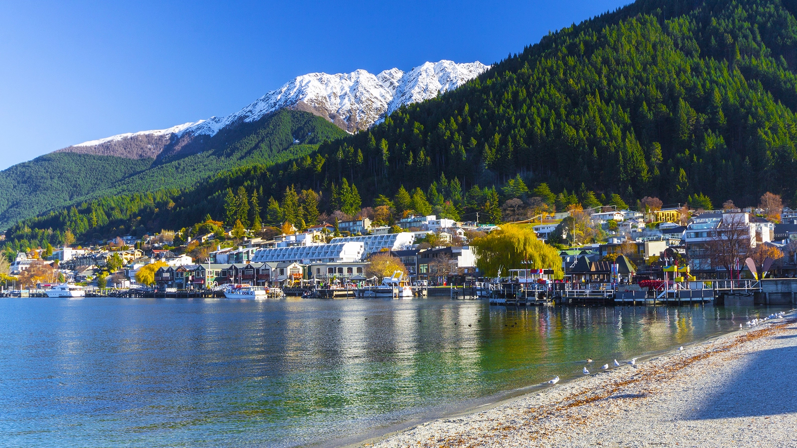 스파이어 호텔 퀸스타운 2박 숙박권 The Spire Hotel Queenstown