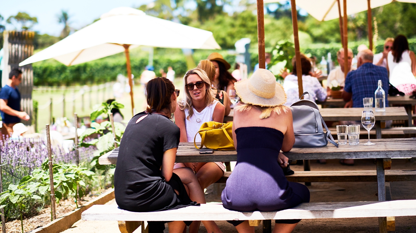 Mornington Peninsula: Discovery Wine Tasting & Lunch with Glass of Wine ...