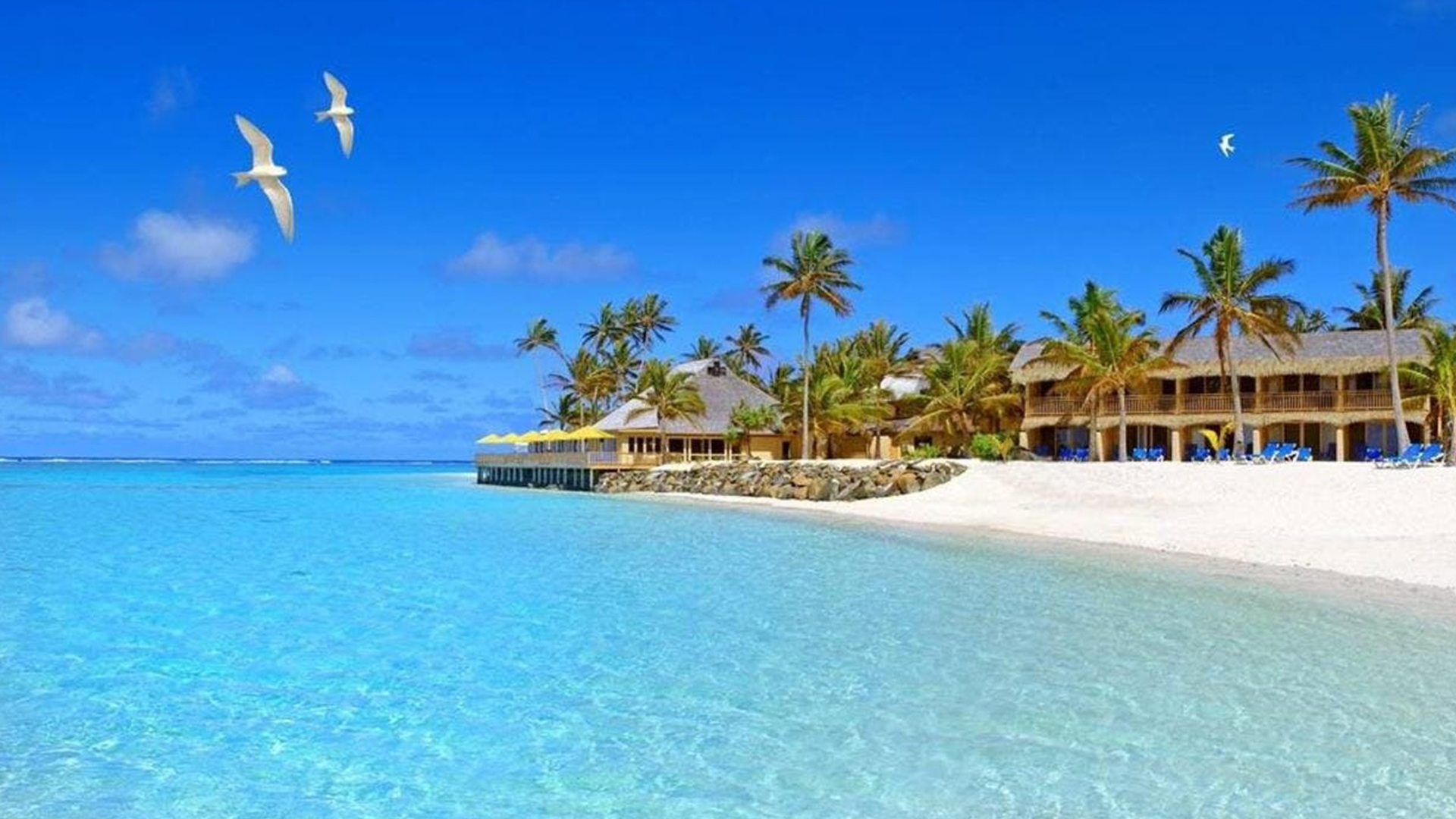 Cook Islands Adults-Only Beachfront Retreat with Spa & Swim-Up Bar ...