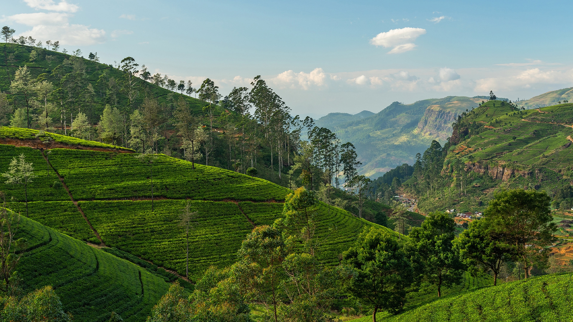 group travel sri lanka