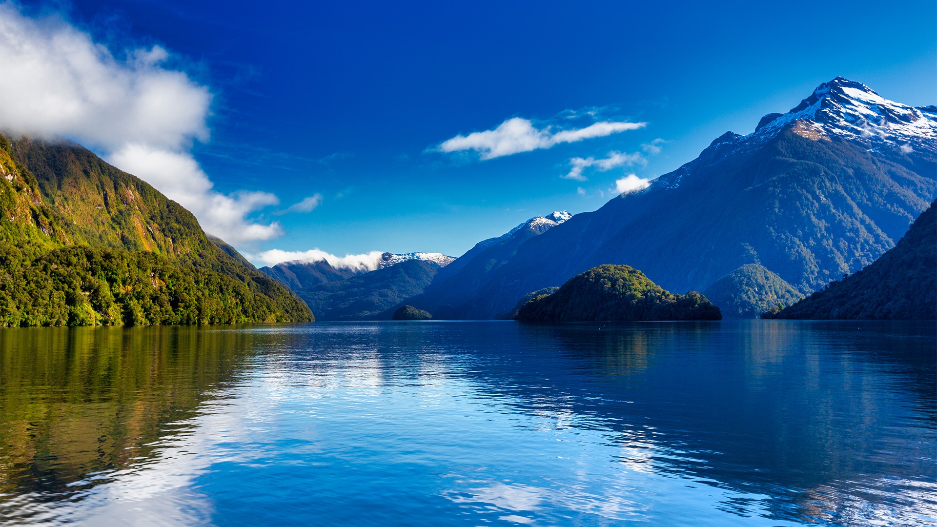 new zealand train tours south island