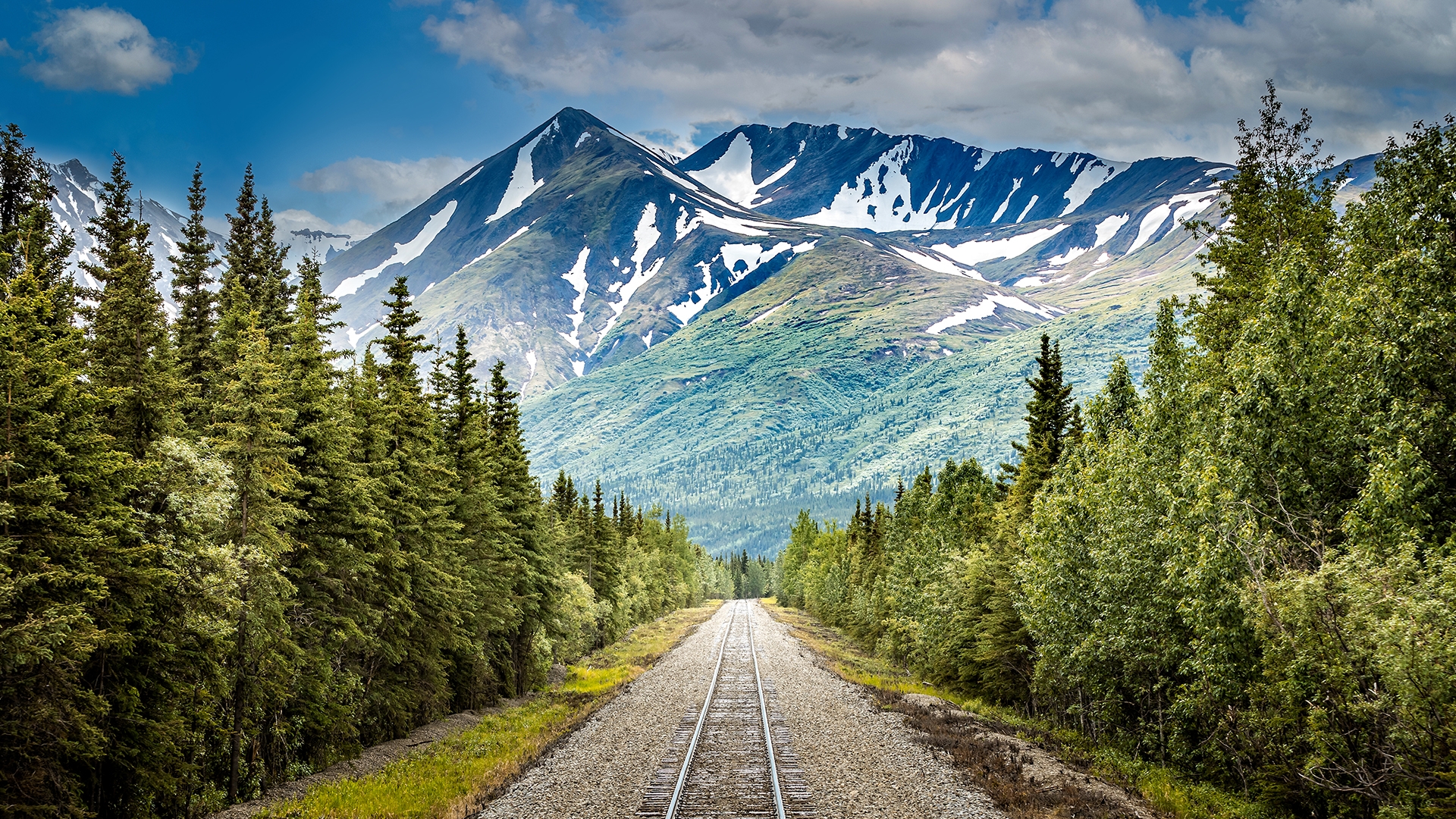 Alaska 2024 & 2025 Wilderness Tour with Prince William Sound Cruise