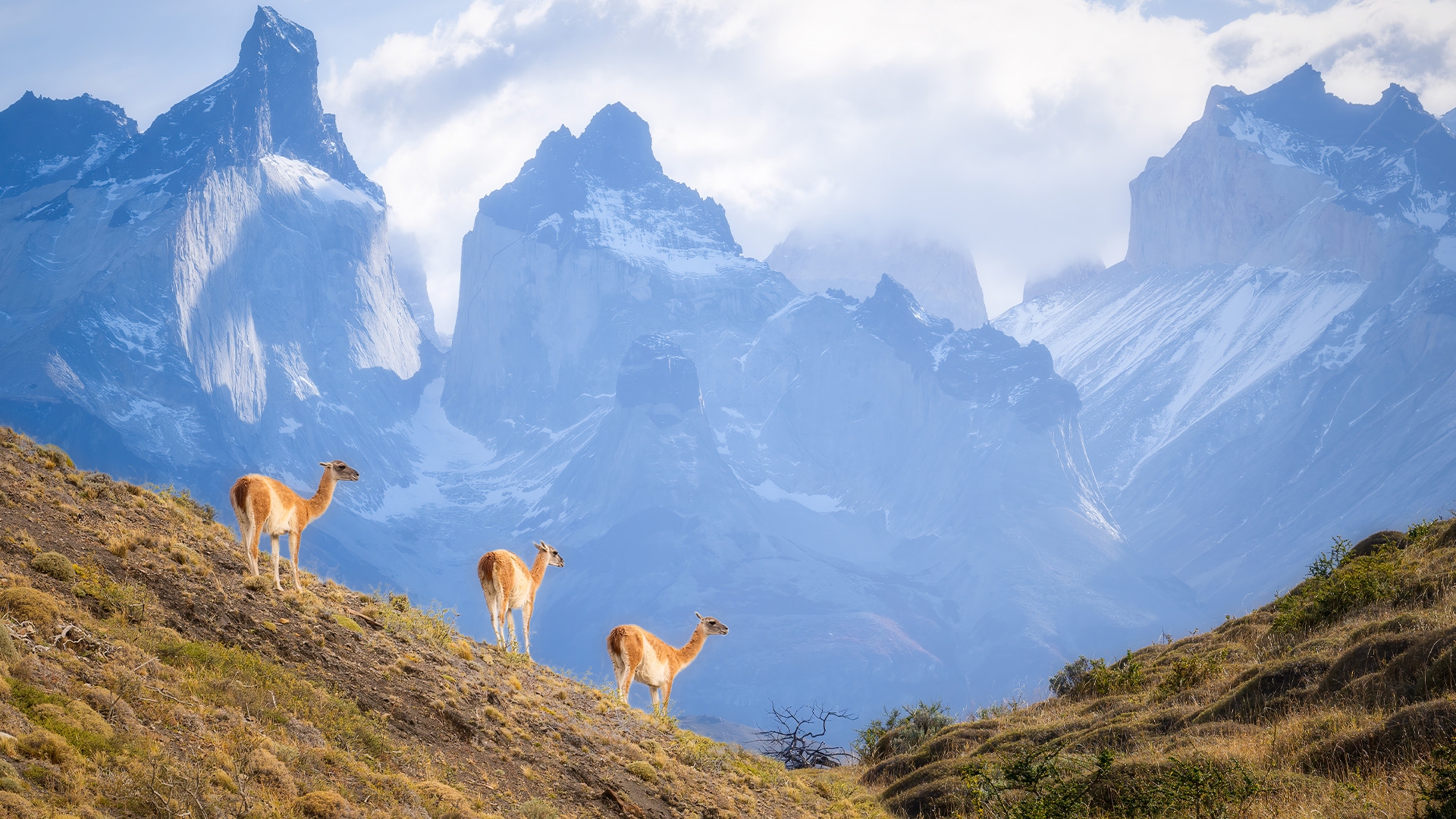 tours a la patagonia chilena