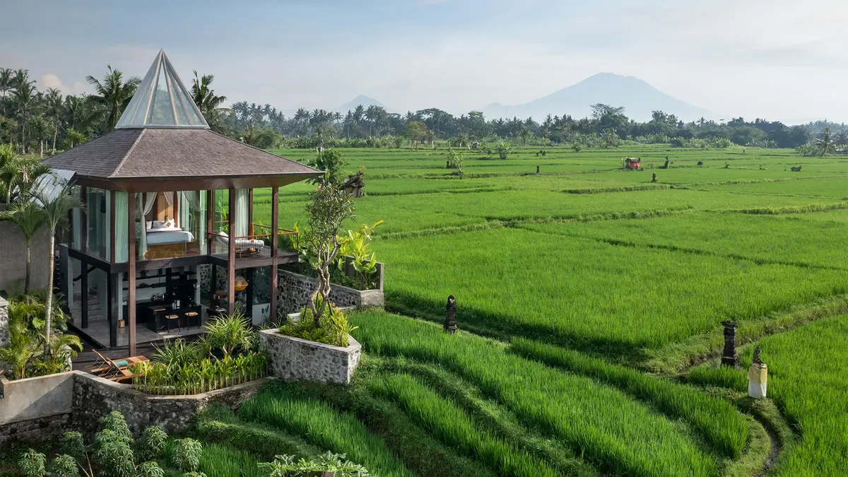 Gdas Bali Health and Wellness Resort, Ubud, Bali