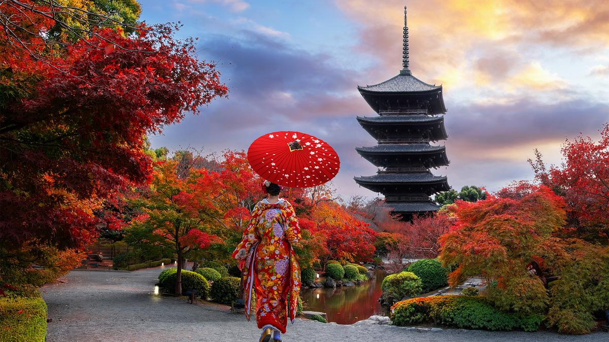 Deluxe 15-Day Best of Japan 2026 with Tokyo, Hiroshima & Osaka  by 