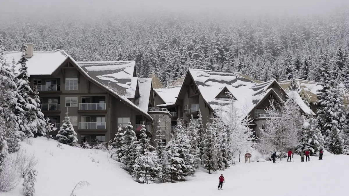 Aspens on Blackcomb, Whistler, Canada