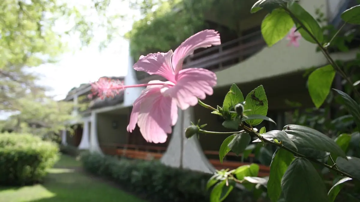Hotel Club Du Lac Tanganyika, Bujumbura, Burundi