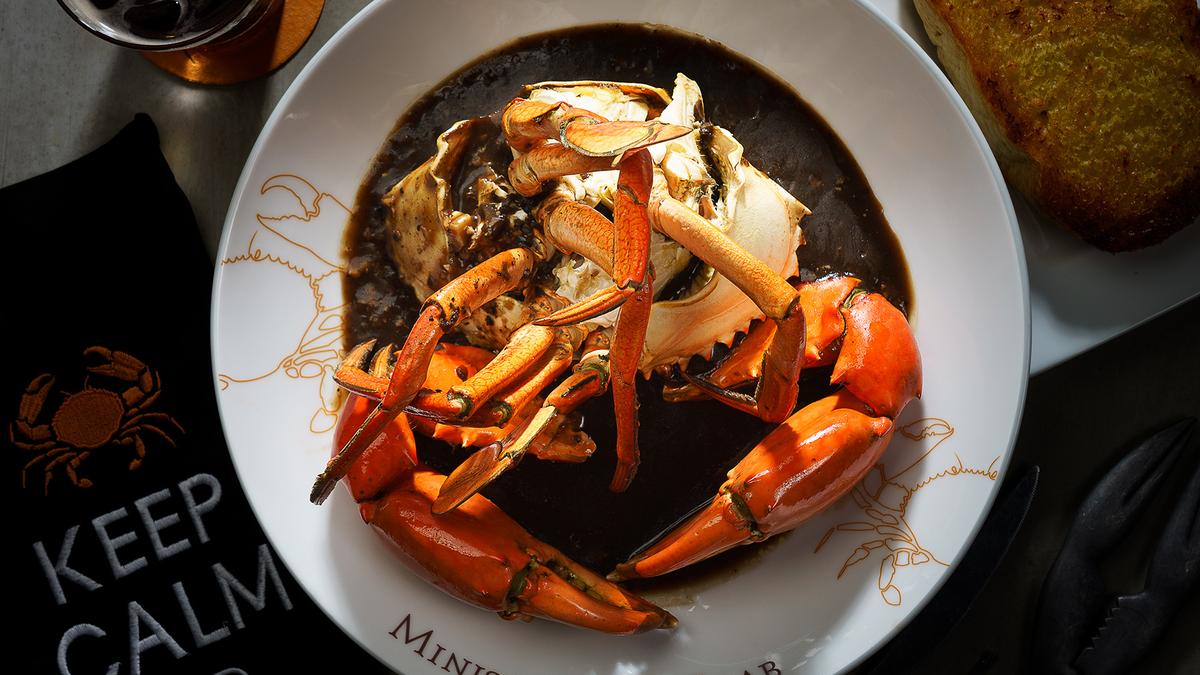 Insider Series: Premium 13-Day Sri Lanka Tour 2027 Co-Curated by Matt Preston & Gary Mehigan with Luxury Stays by 