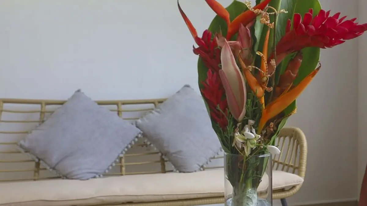 Cap Confort, Mahé Island, Seychelles