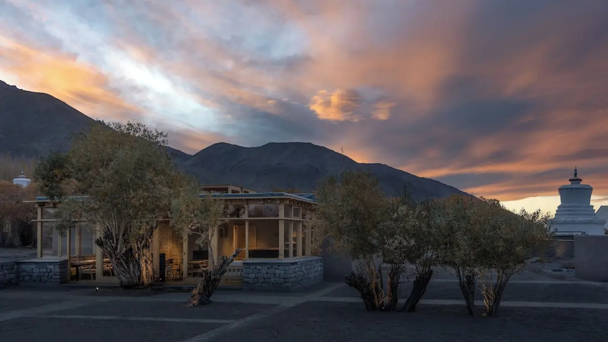 The Postcard in The Himalayan Willows, Leh, India